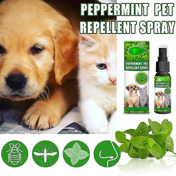 Lopp- och fästingspray för husdjur, effektiv behandling för fästingar, loppor och insekter-loppspray för hundar och katter 2 Pcs