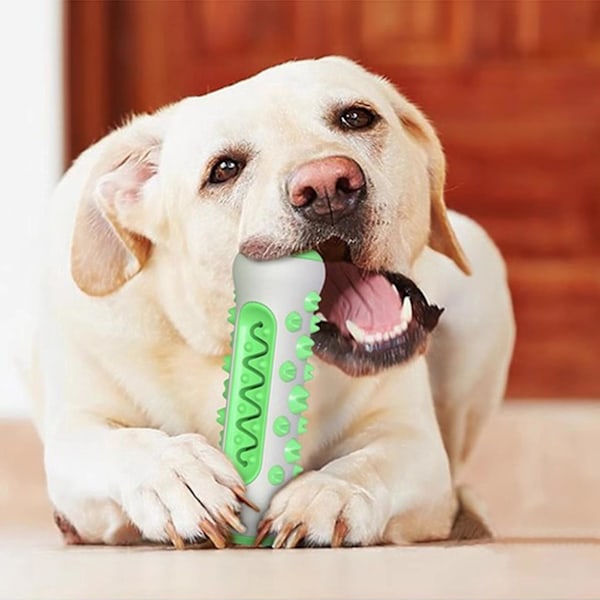 Tuggvänlig tandrengöringssticka, bitresistent ångestdämpande leksak för valp och hund