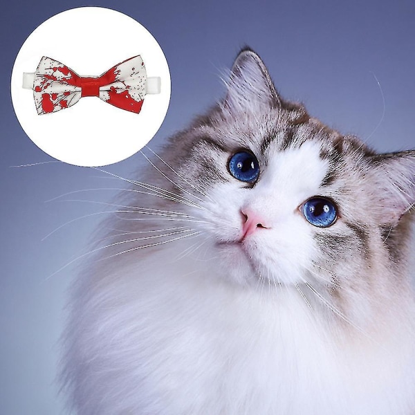 Slips för sällskapsdjur med halsband | | Intressanta hundar