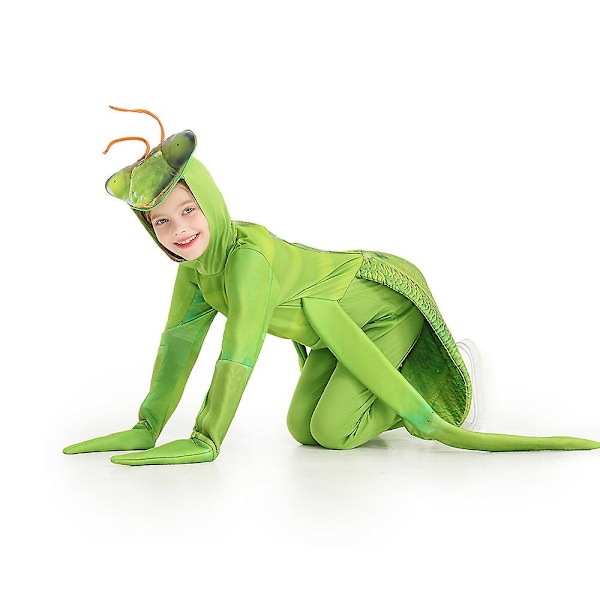 Kids Insect Bug Fancy Dress Halloween Cosplay Praying Mantis kostume til barn 10-12 Years Old