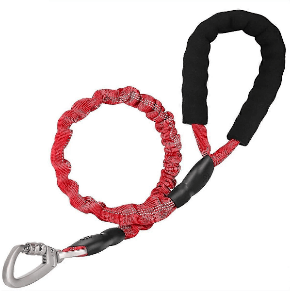 Hundebånd Reflekterende Elastisk Nylon Tau Med Polstret Håndtak Sikkerhetssele Halsbånd Leder Tau For Små Mellomstore Store Hunder