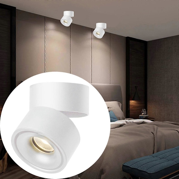LED Loftslamper Trk Lampe Udstilling Krom Downlight Lampe Gang