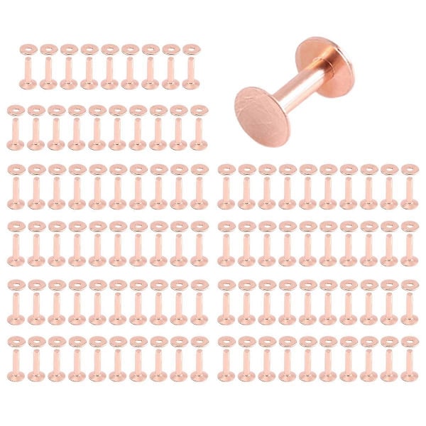 100 Set Kopparnitar och Brickor Läder Kopparnit Fästelement för Halsband Läder DIY Hantverk