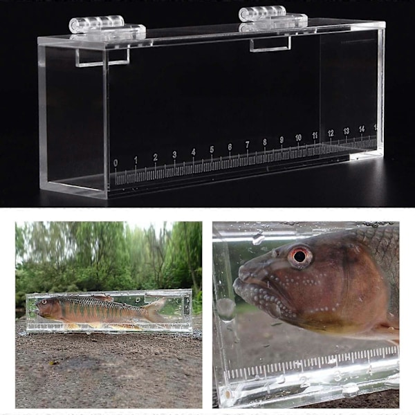 Fiske Foto Tank Fisk Visningsboks Akryl Udklækningsinkubator Klar Mikro Landskab Akvarium Fisk Opdrætter Opdrætterboks med Skala
