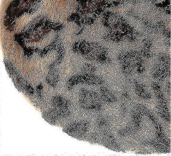 Leopardmönstrad baskerhatt för kvinnor, fransk basker i ull, varm mössa för vintern