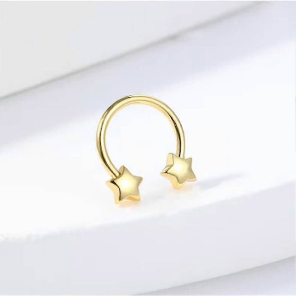 Ringer i rustfritt stål for septum, nese, hjerte, stjerne, stift, øre, loop-piercinger