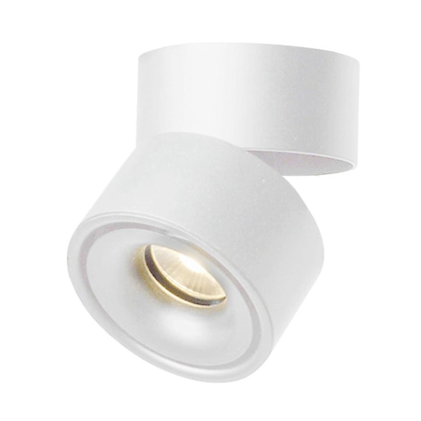 LED Loftslamper Trk Lampe Udstilling Krom Downlight Lampe Gang