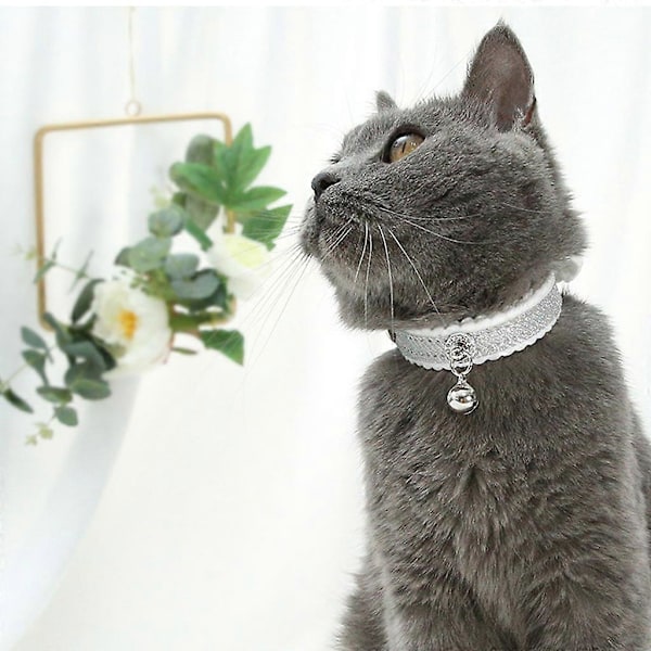 Justerbart Hamster Bell Halsband Husdjur Mus Baby Kanin Ekorre Gradient Färgad