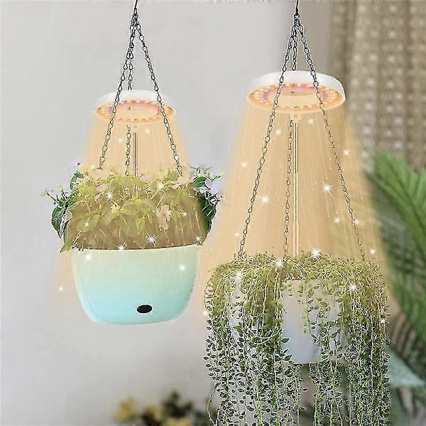LED-växtlampa, halo-växtlampa för inomhusväxter som växer, automatisk timer 4/8/12/18, för bonsai-suckulent