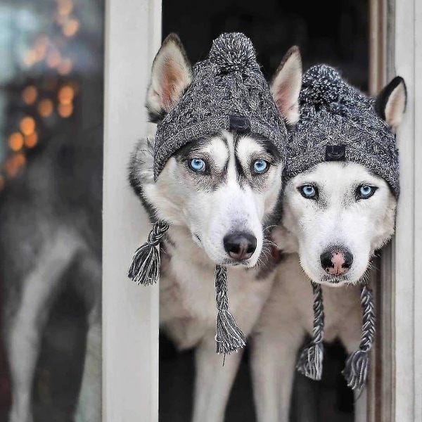 Koiran talvihattu, lämmin lemmikkipompon neulottu hattu Lämmin lemmikkieläinten neulottu Snood-päähineet korvarei'illä keskisuurille koirille ranskanbulldoggi Grey S