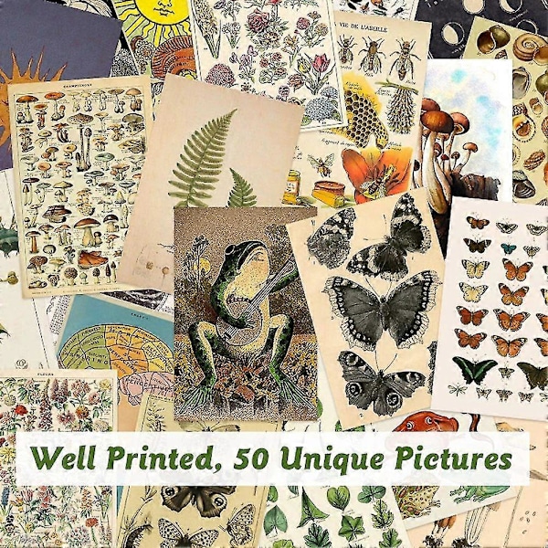 50 stk. Vintage Botanisk Tarot Æstetisk Væg Collage Kit & Fauna Insekter Illustration Kunst Plakater C