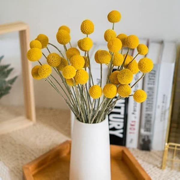 40 stk Tørrede Craspedia Blomster Tørrede Billy Button Balls Blomster, Tørret Blomsterbuket Til Arrangement