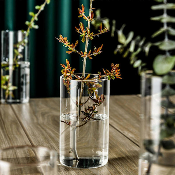 Glascylinder Vaser Glashydroponisk Vas Klar Ljushållare Blomvas för Bordsdekorationer Bröllop Heminredning