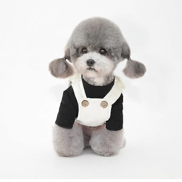 Höst- och vinteroveraller för husdjur, hund, teddy, pomeranian