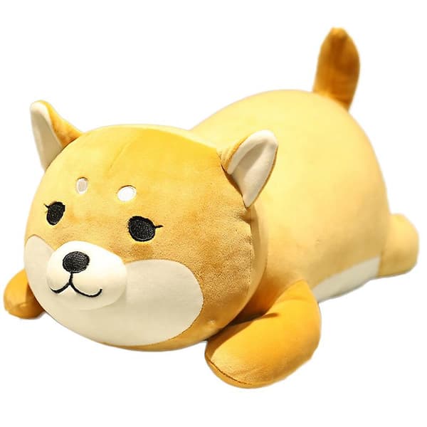 Myk Corgi Kosedyr Leke