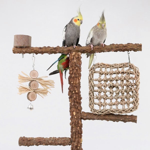 Træ Fuglelegeplads Fugle Aborre Leg til Conures Bur Tilbehør Undulat