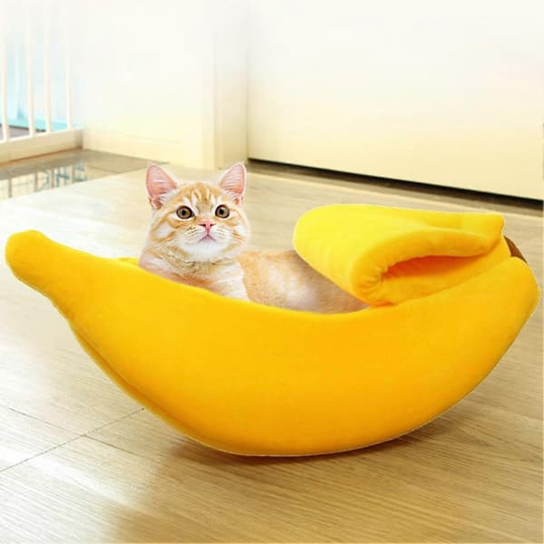 Kattgrotta i bananform med högelastisk svamp för ångestlindring Yellow M