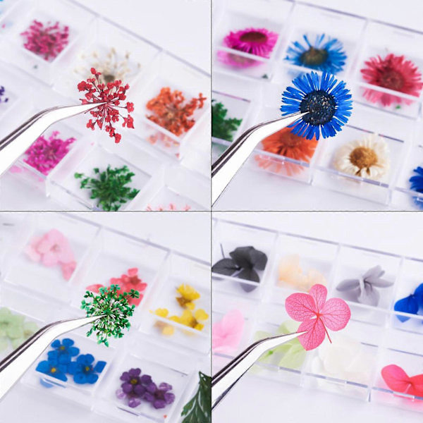 12 Färger Japansk Stil Naturlig Nagelkonst Torkade Blommor, Kan Även Användas Till