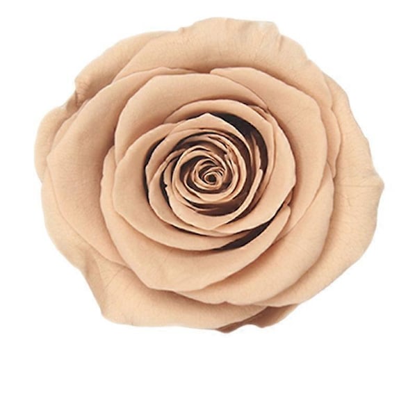 Julepynt Jul Konserverede Friske Blomster Rose Blomsterbæger B Kvalitet 4-5cm8 Ægte Blomster Opbevar Blomster Æske Julegave