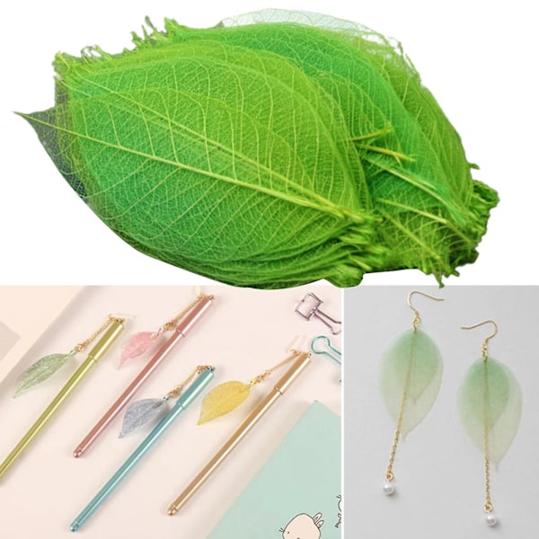 100 stk. Naturlige skjelettblader Håndlagde flerfargede slanke fargeekte multifunksjonelle bokmerker Små scrapbooking-håndverk DIY gummitreblader
