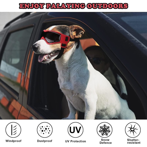 Hundebriller for små raser hundesolbriller med justerbar stropp,  uv-beskyttelse vindbeskyttelse for små/mellomstore hunder Red fa85 | Red |  Fyndiq