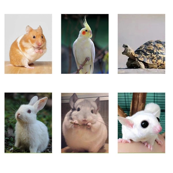 Keramisk varmelampe til reptiler med beskyttelse, varmebelysning infrarød reptil varmepæreholder til skægget drage/firben/slange/skildpadde belysning