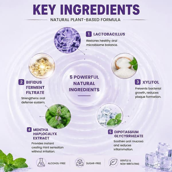 Reisevennlig Probiotisk Munnspray, 20 ml Klar Flaske Mintduft Pusteforfriskende Tåke 3pcs