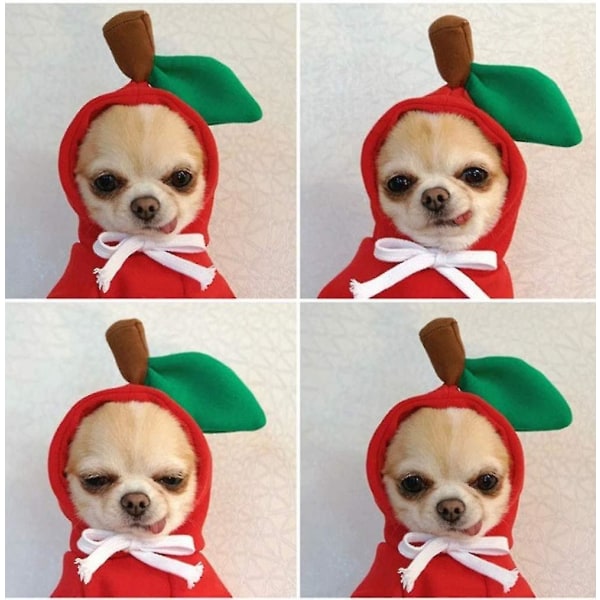 Koiran huppari, Söpöt Koiran Vaatteet Huppari, Lämpimiä Vaatteita Pienille Keskikokoisille Koirille Chihuahua Red Apple S