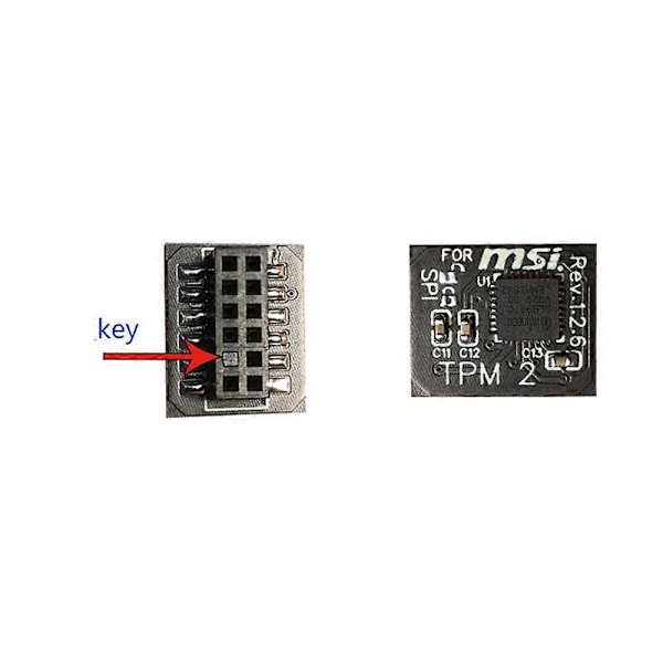 TPM 2.0 Krypteringssikkerhedsmodul Fjernkort 12 Pin SPI TPM2.0 Sikkerhedsmodul til MSI Bundkort
