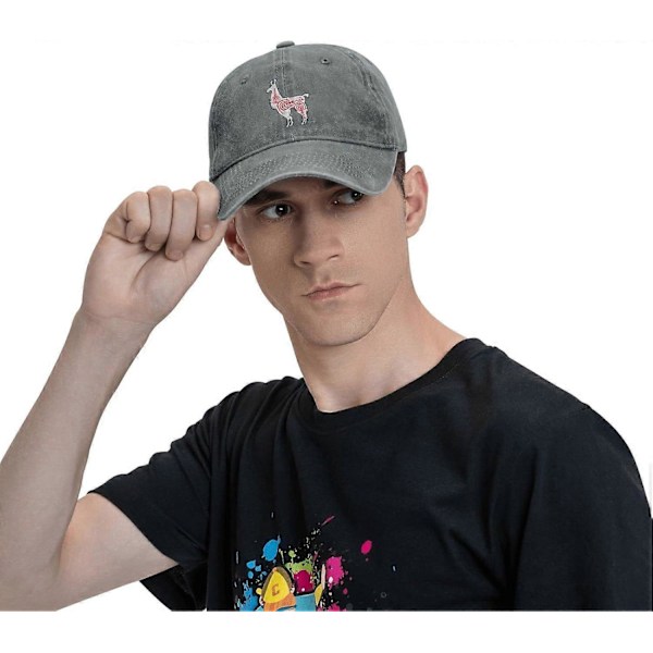 Alpakka Peru Unisex Cowboyhatt Baseball Caps Justerbar Sport Golf Denim Casquette Caps Stil 1684