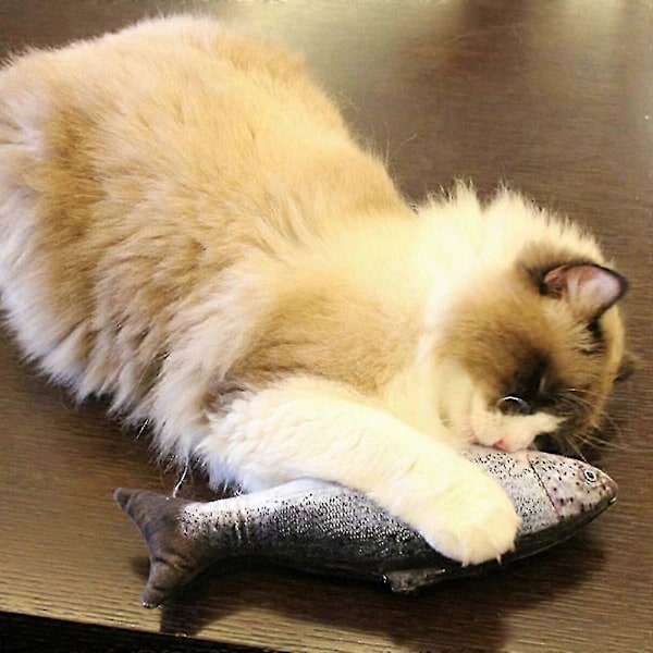 5 KPL Kissankarku Kala Lelut Kissalle 20cm Kissa Lelut Kissa Kala Tyyny Kissa Kissankarku Lelut