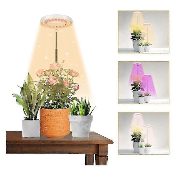 LED-växtlampa, halo-växtlampa för inomhusväxter som växer, automatisk timer 4/8/12/18, för bonsai-suckulent