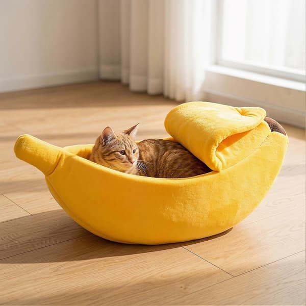 Kattgrotta i bananform med högelastisk svamp för ångestlindring Pink L