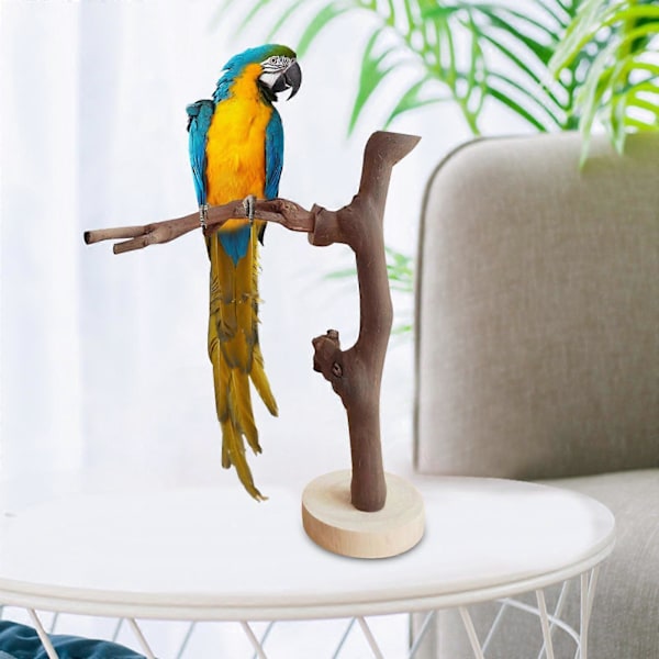 Papegojstativ Fristående Fågelpinnar Fågelträningsstativ Portabla Utomhusgrenar för Papegojor Cockatiels Husdjur Macaw Parakiter