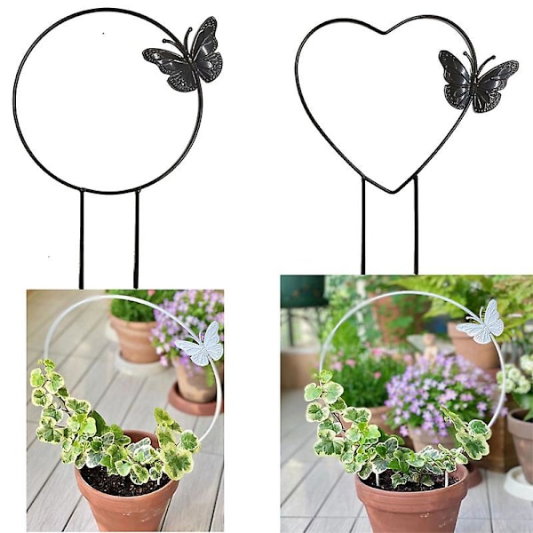 Metall Växtstöd Spaljé Dekorativa Växter Klätterställning Hållare för Krukväxter Blommor Inomhus Ny