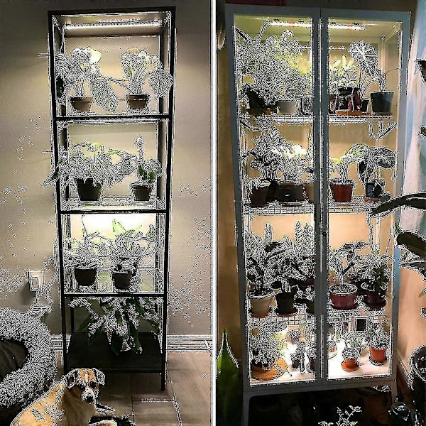 LED Vækstlys Strips til Indendørs Planter, Sollys Fuld Spektrum 42-288 LEDs Plantelampe Med Auto Timer Til Hylder Hydroponisk Sukkulent