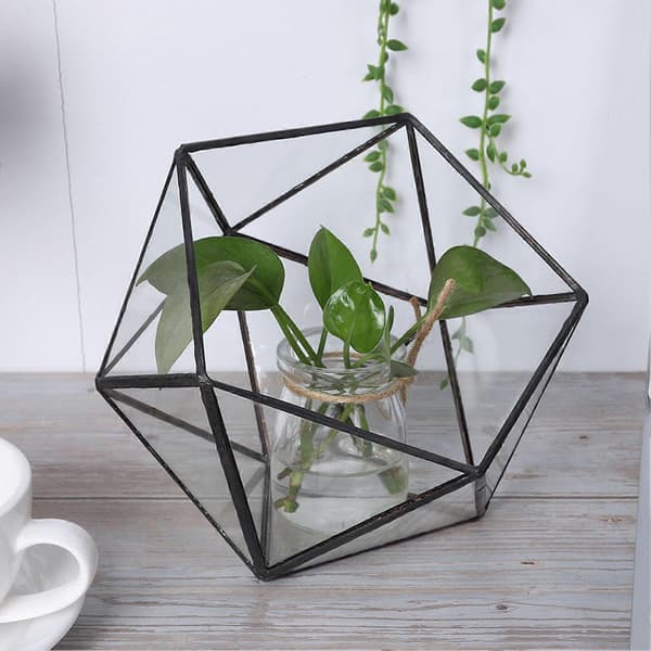 Geometrisk Glas Planteringsbehållare för Suckulenter Mossor Ormbunkar Växter Landskapsdekoration