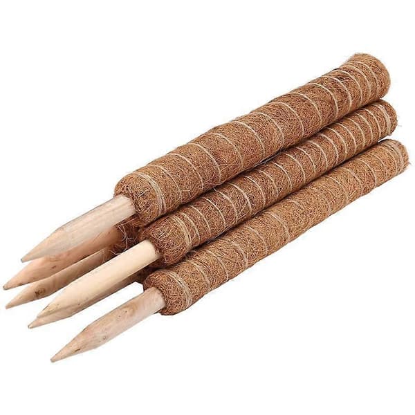 Förlängd kokosfiberstång, kokosfiberstöd, växtstöd 6 st
