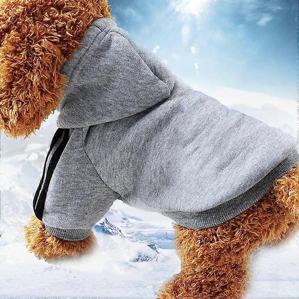 Kæledyrstøj Hundetøj Sweater Sport Efterår og Vinter