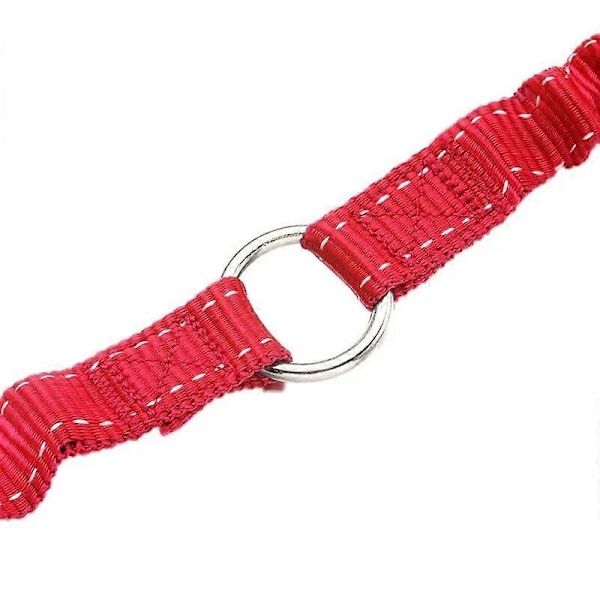 Dobbelt Hundesnor Elastisk Bungee Kæledyrskobling Gå Snor Til 2 Tvillingehunde Snor Splitter Kæledyrsartikler To Vejs Hundesnor