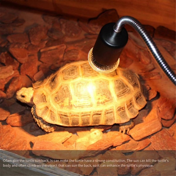10 stk. Reptil Lampe Pære Skildpadde Solbadning UV Lys Pærer Varme Lys Fuld Spektrum Sollampe til Amfi