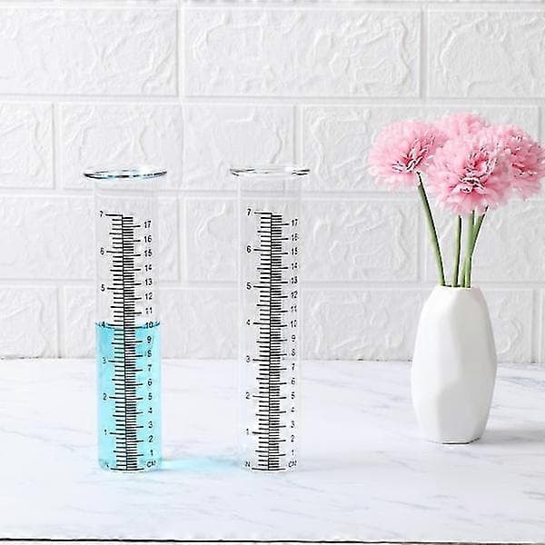 stk Regnmåler Regnmålingsværktøj Glasrør 21cm/ 8 tommer