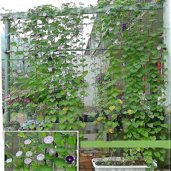 Espaliernet til klatrende haveplanter 0,9m*1,8m