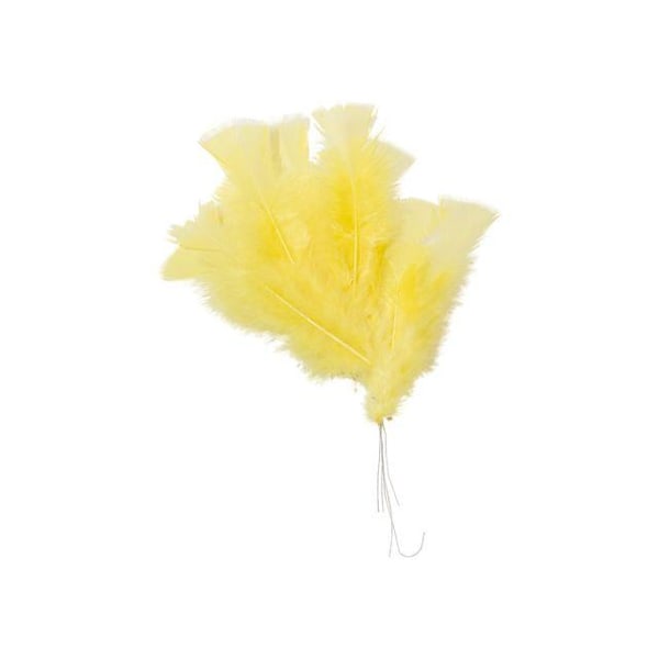 Fjær, gule, 48/pk (for pynt mm) Gul Yellow