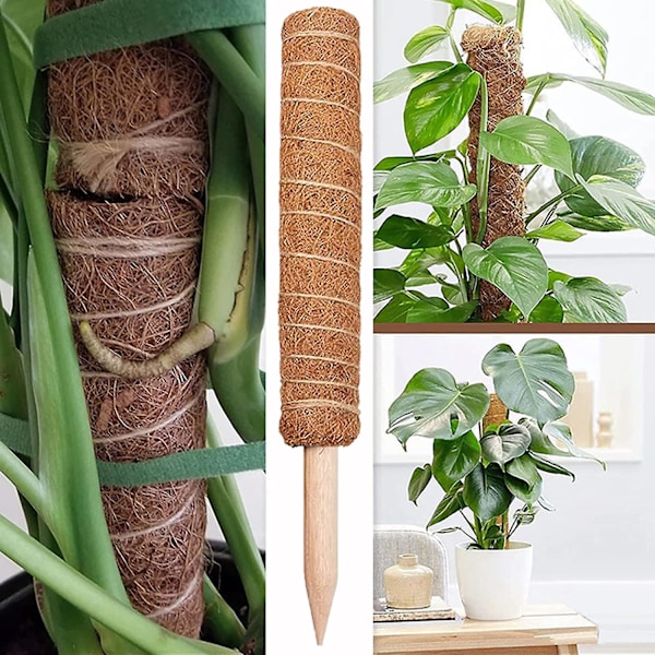 Mossapinne för Monstera-växter, böjbara växtstöd, växtpinnar för krukväxter inomhus, 45'' Coco Coir-pinne växtstöd för Sphagnum, Po