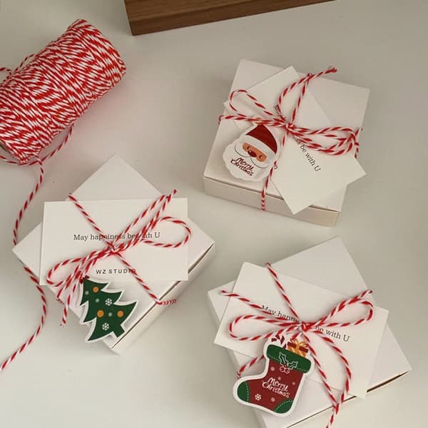 Rep - Bomullssnöre - Bindgarn - Hantverksförpackningssnöre - Set med 2 rullar 2 mm tjock - Idealisk för DIY, trädgård och förpackning