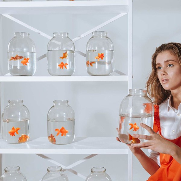 Kunstige akvariefisk i plastik, realistiske ornamenter, 30 stk.