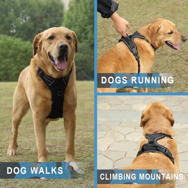 Mellem hundesele (S) - 2 snorclips, reflekterende striber - Hals 30-43cm, Bryst 35-53cm - Sort