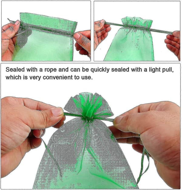 100 pcs Cluster Protection Bag 30x20cm/10x15cm Grape Fruit Organza Bag with Drawstring 30cm