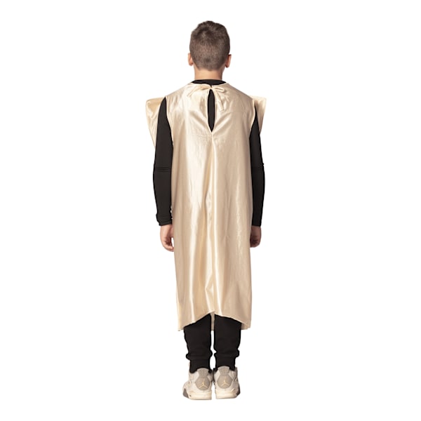 $100 Dollar Seddel Barn Halloween Kostume - Medium Barn Størrelse 7-10 til Drenge og Piger medium(size7